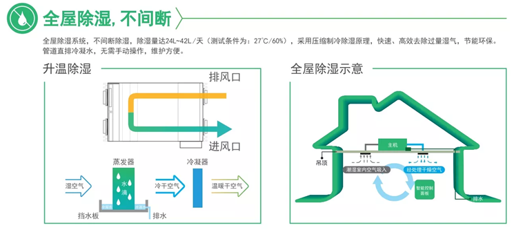 百朗除濕新風(fēng)一體機 制冷除濕 全屋除濕不間斷